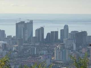 Отель Batumi Georgia Батуми Номер Делюкс (для 2 взрослых и 1 ребенка)-44
